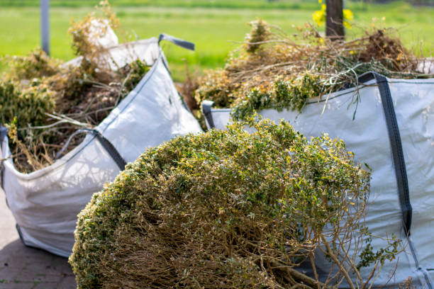 Best Yard Waste Removal  in Wadena, MN