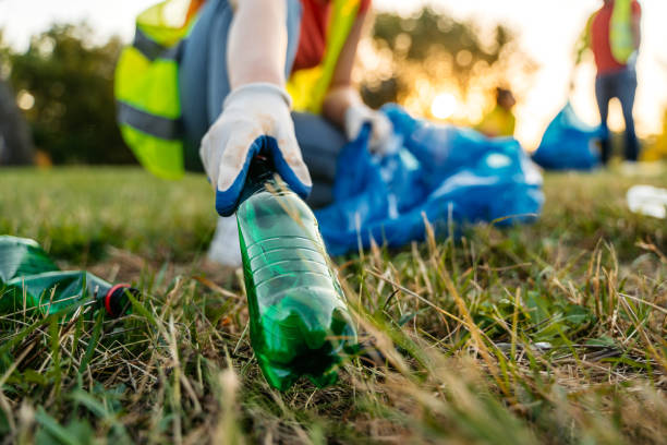 Best Yard Cleanup Services  in Wadena, MN
